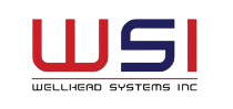 wsi ecuador-viasupport